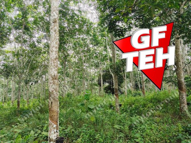 5.03 acres Agricultural Land | Sauk | Perak | For Sale 3.90psf k 4