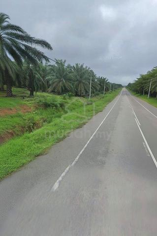 Johor Segamat Sermin 315 acre Palm Oil Land FREEHOLD 4 to 14 year tree 1