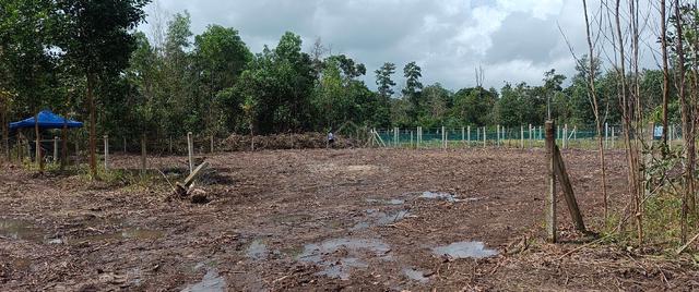 Tanah Kosong 1