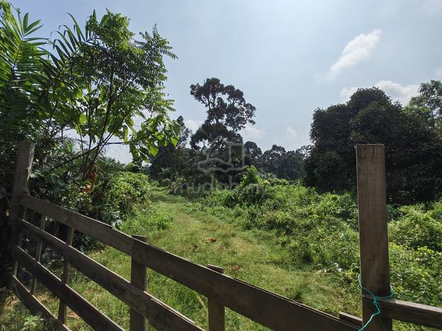 FREEHOLD 5.9125 acre RM250k/acre Mukim RIM Jasin Town LAND , Melaka 1