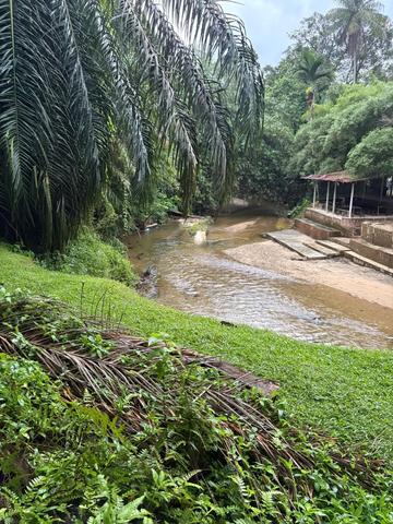Kampung Bendang Nering,Batu Kurau 2