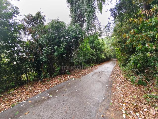 Tanah Pertanian Getah 4 ekar Kampung Gapis Nyalas Melaka 1