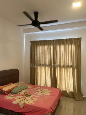 Male & Female unit Master room inlcuding carpark and wifi 1