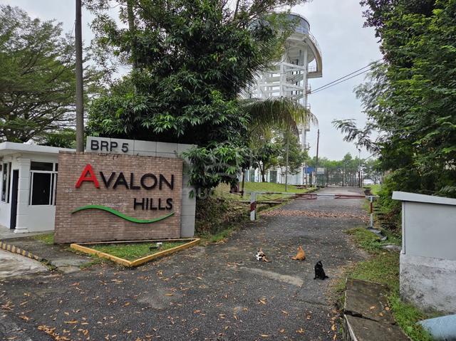 Huge Semi D house for sale at Bukit Rahman Putra 1