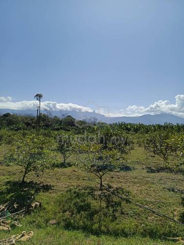 Batang Kali Agricultural Land, Selangor 10 acre 1