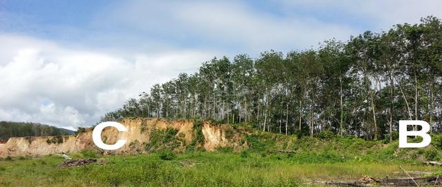 Simpang Pelangai, Main Road 1