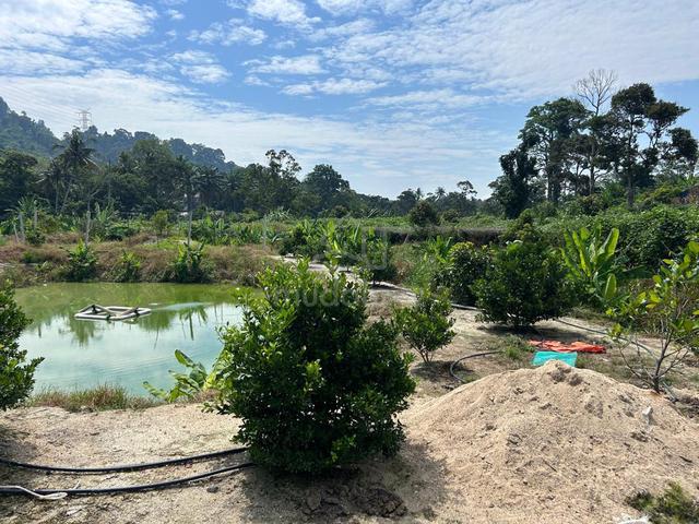 Agriculture land at Tampin, Negeri Sembilan for sale 1