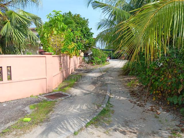 Rumah untuk disewa 3