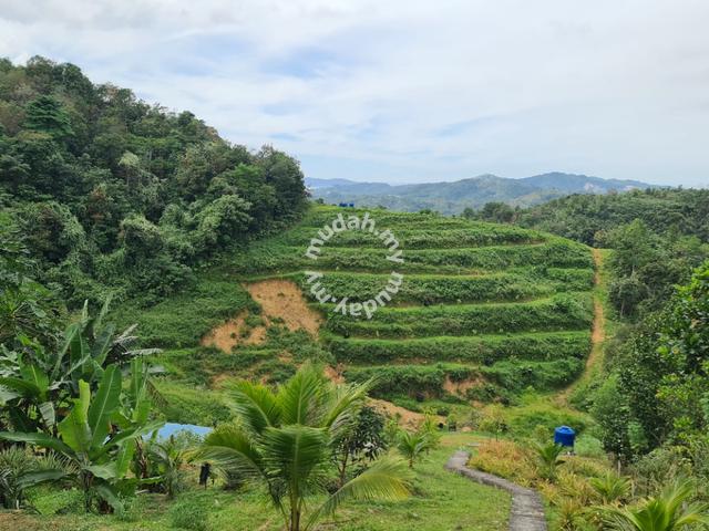 Telipok Land | Swiftlet House |Near Grand Merdeka Mall 4