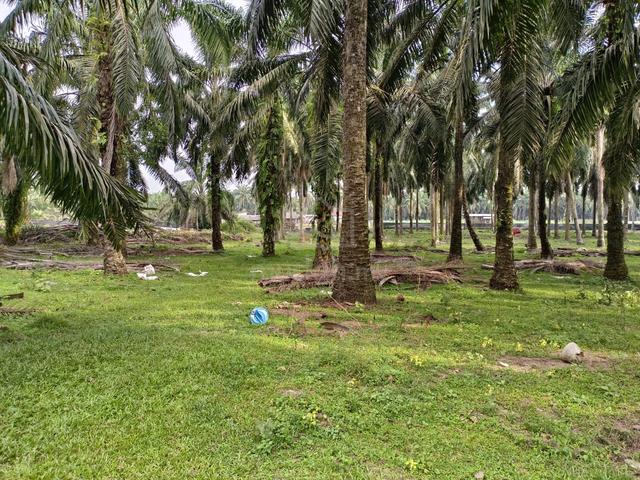1.36 ekar land @ Sungai Raya, Tempat Air Hitam, Linggi, PD, N9 2