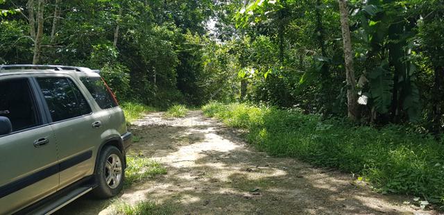 Tanah Kebun Getah dan Dusun Buah lokasi Menarik Dekat UiTM Kuala Pilah 2