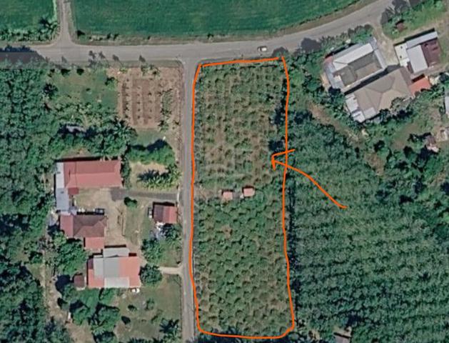 Land For Sale / Tanah Lot Untuk Dijual di Tasek Gelugor , SPU 1