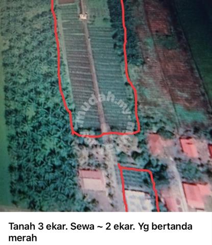 Tanah Pertanian untuk disewa di Tanjung Karang, Kuala Selangor 