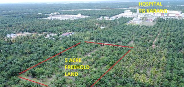 Tanah Freehold 5 Ekar Pertanian Sungai Terap Tanjong Karang 1