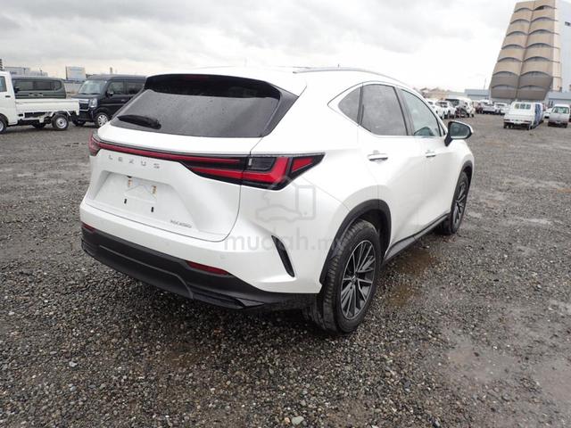 2024 Lexus NX250 HUD 4CAM SUNROOF - 4