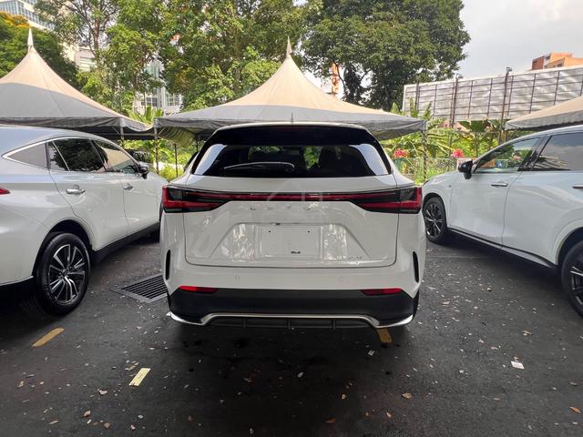 2023 Lexus NX350 2.4 F SPORT AWD (A) Fully Loaded - 4