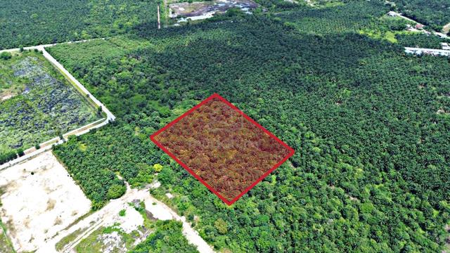 Land Zoning Industrial Freehold @ Olak Lempit 1