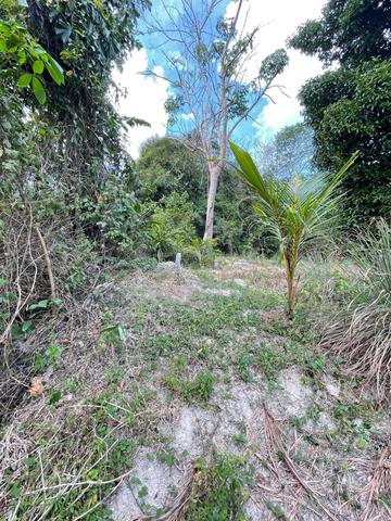 Tanah Pertanian, Ulu Pilah, Kuala Pilah 1