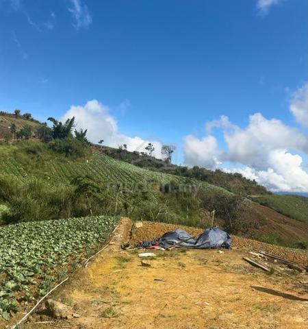 Kundasang Montoki Highland Land for Sale | Mount Kinabalu View 1
