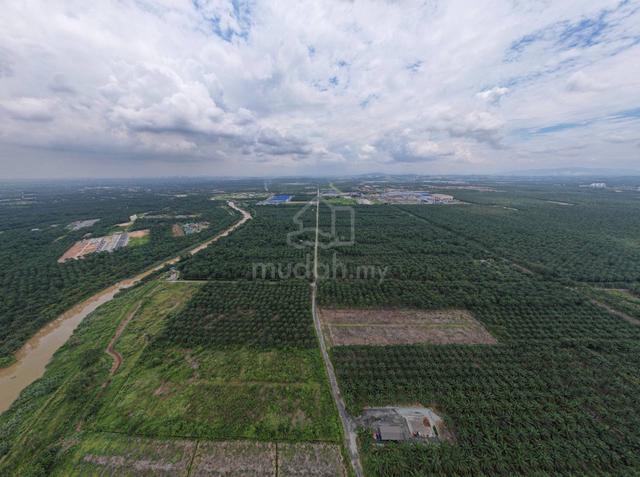 INFRA READY BUMI 127 acres Land Kuala Langat 1