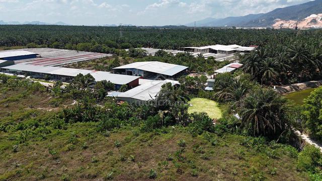 CHEMOR @ IPOH / 25 Acres Agricultural Land / Flat Land / With Water 1
