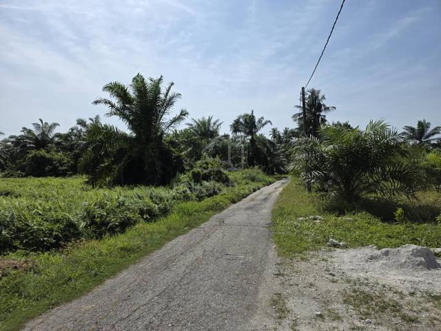 4 acres agricultural land, Bukit Rotan, Kuala Selangor 1