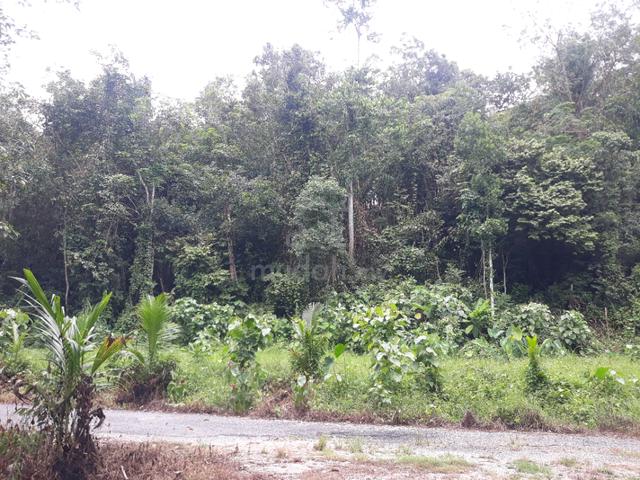 Tanah Pertanian Kampung Loh Karai Kuala Kangsar Perak 1