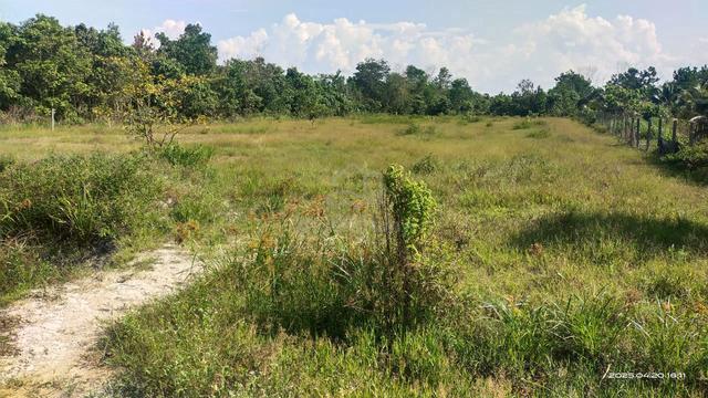 Tanah Pertanian 1ekar di RTK Sri Damai, Kuantan 2