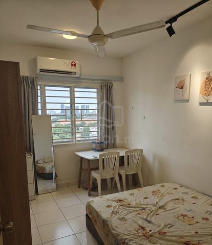 FEMALE MASTER Setia Alam Room for Rent Bilik Sewa Setia City Mall 1