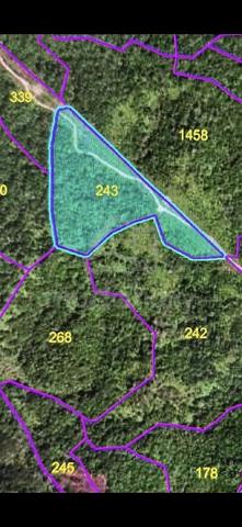 12.08 Acres Native Land Pasai Siong Sibu For Sale 1