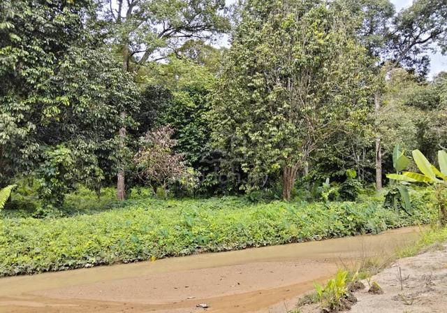 8.7 Ekar DUSUN DURIAN + RUMAH + SUNGAI, KG GAGU, JELEBU, NEGERI SEMBIL 1