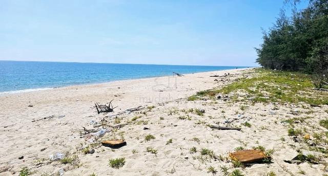 Tanah 3.1 ekar tepi Pantai Merang Setiu Terengganu 1