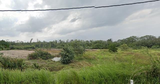 Agricultural Land 1