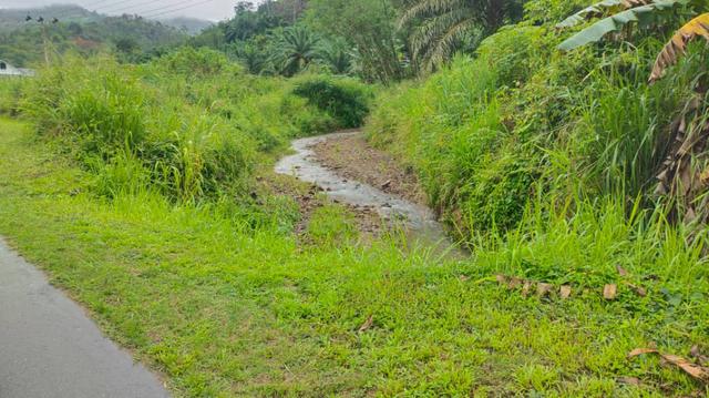 Tanah pertanian CL 200 acre 2