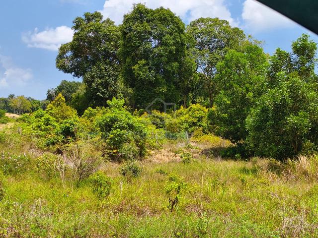 2 Tanah Lot Untuk Dijual di Pekan Jalan Tegak UMP 1