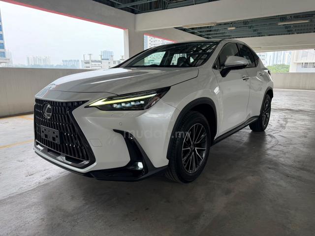 2022 Model: Lexus Nx250 - 1