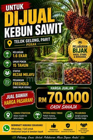 1.6 Ekar Kebun Sawit Changkat Gelong Parit Perak 1