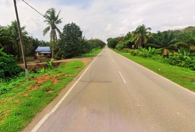 Tanah Pertanian Sawit Kampung Tangkong Buloh Kasap Segamat Johor 5