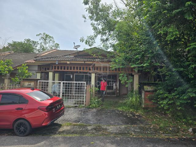 Lembah beringin 1