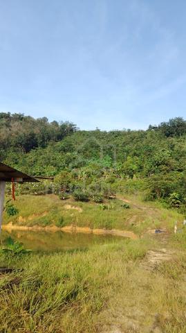 BATANG KALI ulu yam agricultural land  1