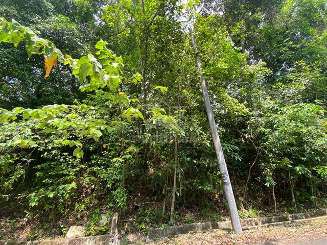 [POKOK GETAH ADA HASIL] Tanah Pertanian di KUBANG KESOM, SIK 3