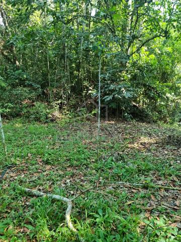Tanah 3 ekar, sesuai utk rumah, kebun, resort di Janda Baik, Termerloh 4