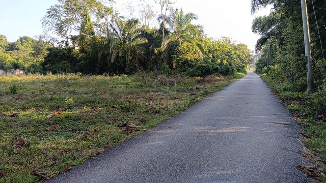 Tanah cantek 1
