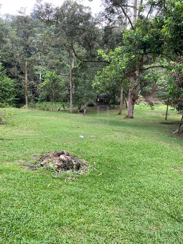 Tanah taman rimba LAGONG selayang 1