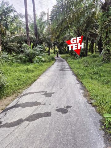 7.82 acre Agricultural Land | Oil Palm | Serdang | Kedah b 1