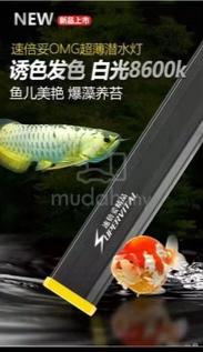 Carousel Image