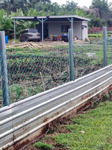 vegetable farm 1