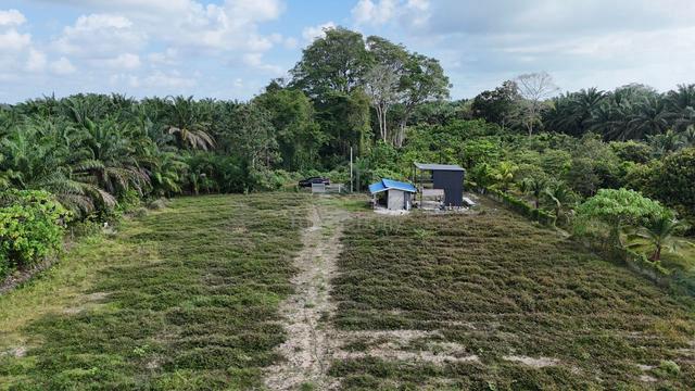Kota Tinggi Sedili Besar Agricultural Land For Sale 1