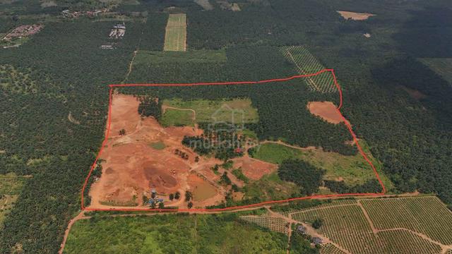 Nice agriculture land in Pasir Panjang For Sale 1