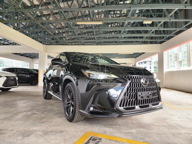 2023 Lexus NX250 2.5 LUXURY (A) GRADE 4.5B - 4
